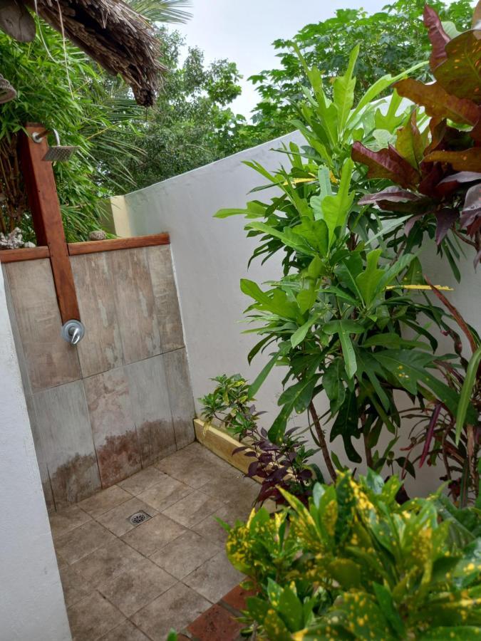 Casa Camaleao Gekko Cottadge 호텔 Praia do Praia do Tofo 외부 사진